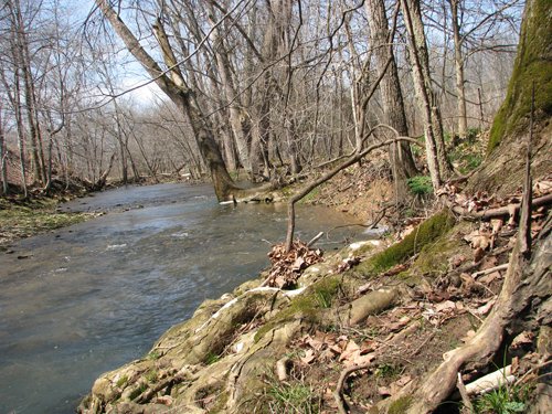 Property photo 25 - 137 Acres in 2 Tracts - 64 Tillable Acres, Potential Building Sites, Hunting